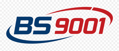 bs 9001